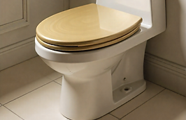 freepik__toilet-with-a-closed-lid-brushed-brass-color-clean__82379.png