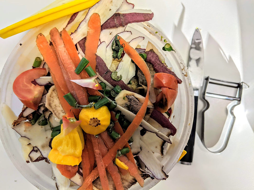 Food waste plate scrapings