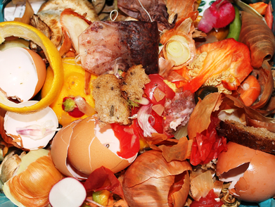 Business food waste in a bin