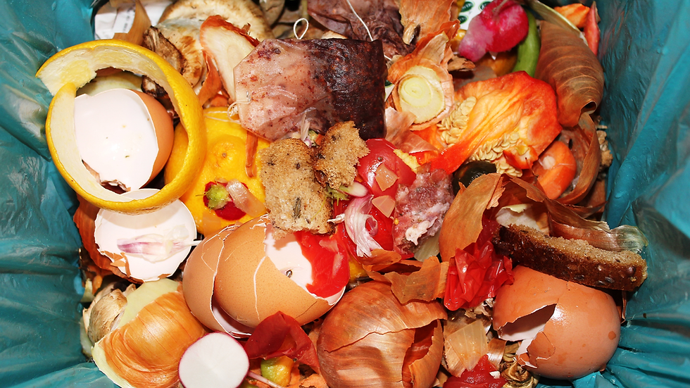 Business food waste in a bin