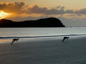 Cape Hillsborough, QLD