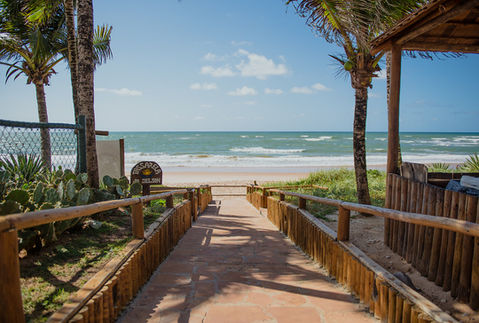 Caminho com coqueiros levando ao acesso direto à praia em Guarajuba