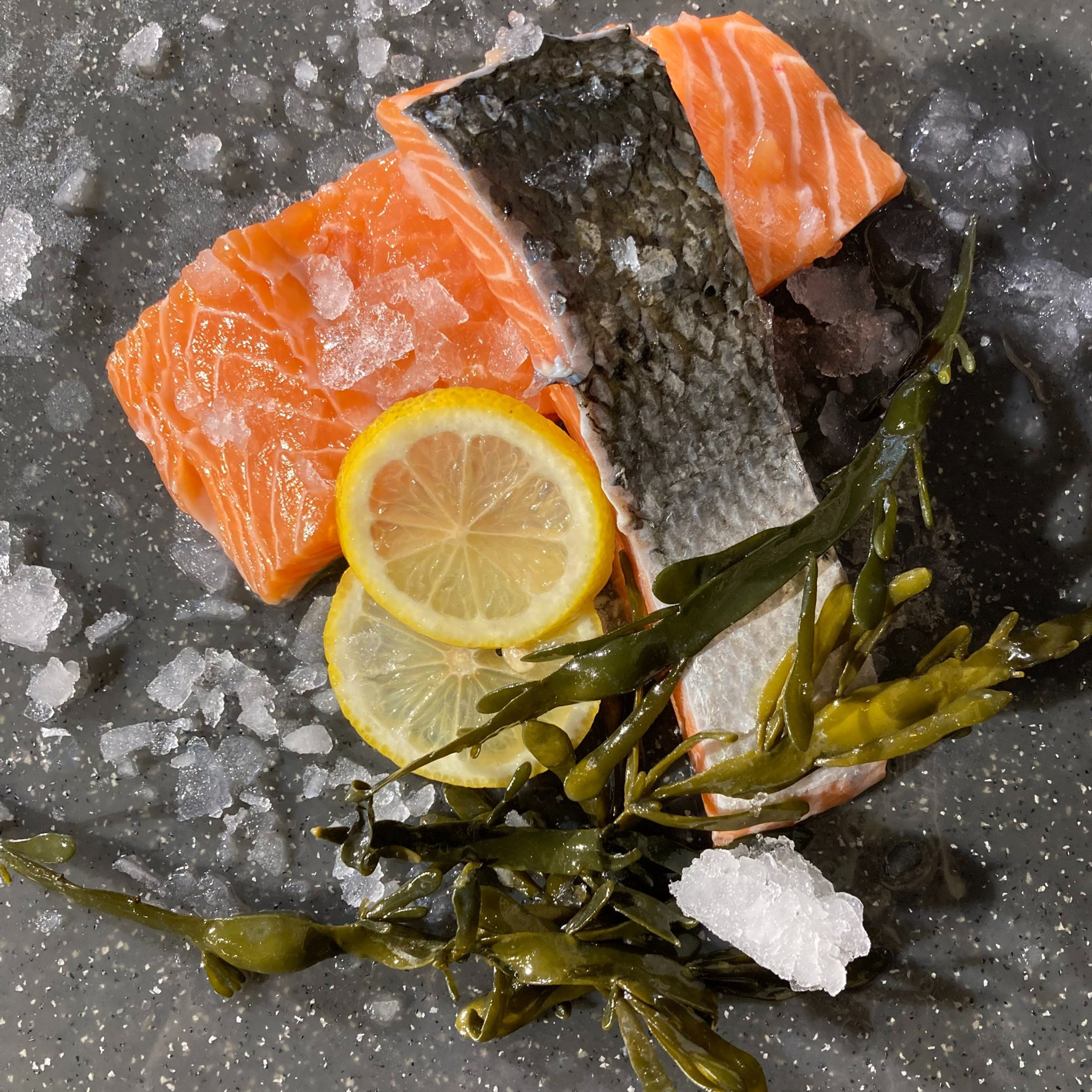 Filet de Saumon écossais