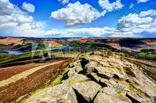 AdobeStock_82527072_Preview.jpeg