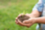 elderly-person-holding-plant.jpg