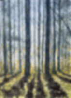 Woodland Watercolour