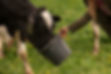 A-Tucker-&-Son_02_edited.jpg
