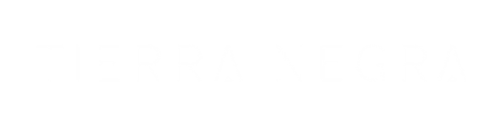 Logo Final TN-19.png