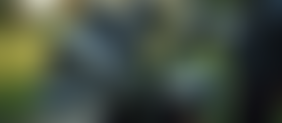 Your Guide to Buying Golf Equipment Online