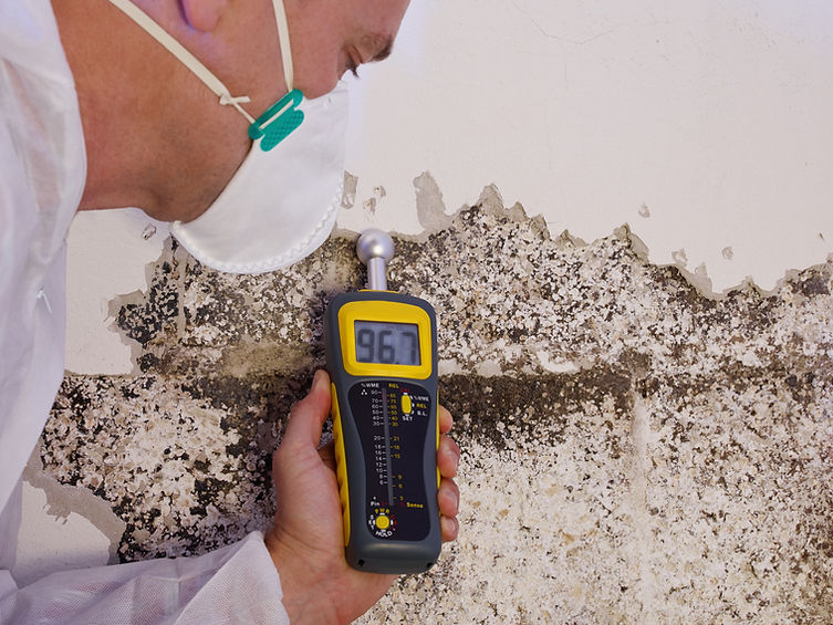 a professional pest control contractor o