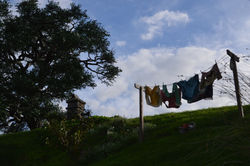 Hobbiton