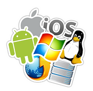 WİN XP 7 8 8,1 10 LİNUX MAC ANDROİD İOS FORMAT 40 TL