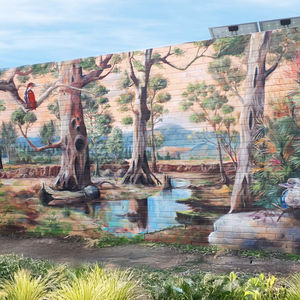 Merri Creek - Echoes of the Bush