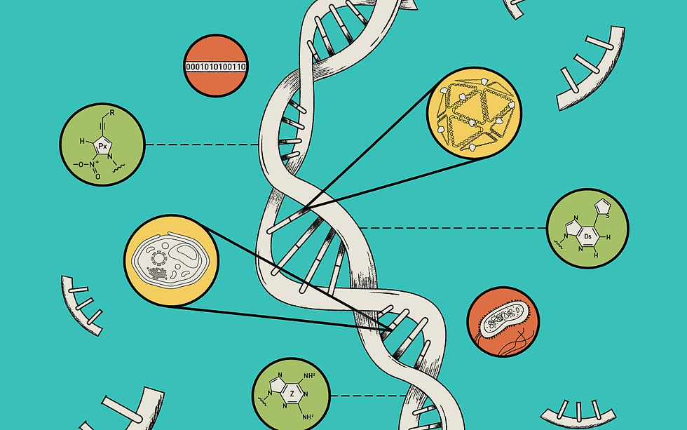 Advancing Synthetic Biology Across All Fronts