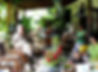 huntes-gardens-anthony-hunte