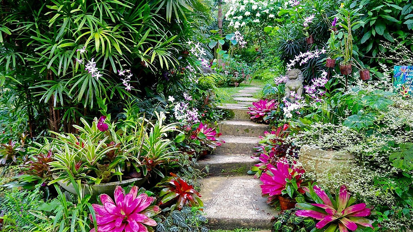 Barbados tours