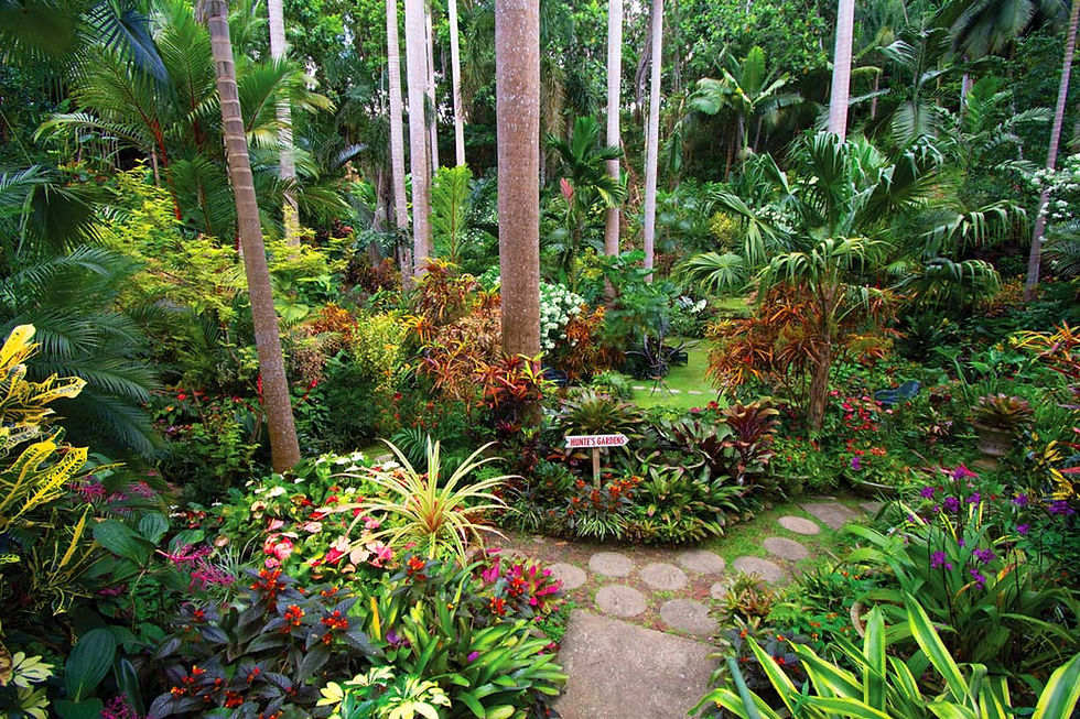 Hunte's Gardens