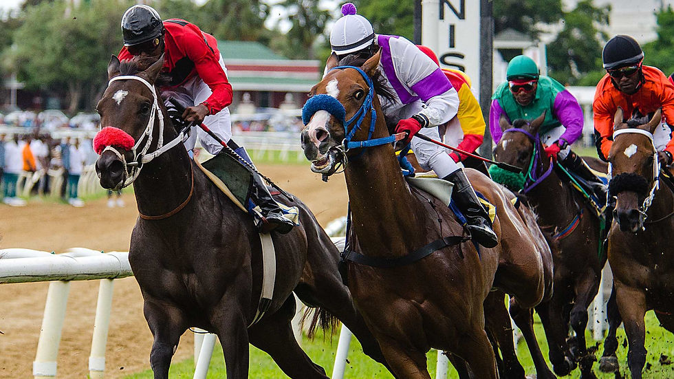 Horse Racing Barbados