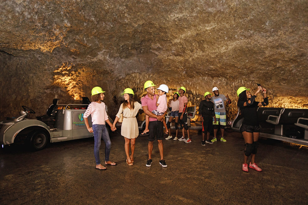 harrison cave2