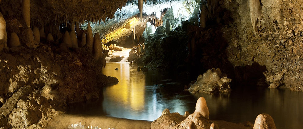 Barbados tours