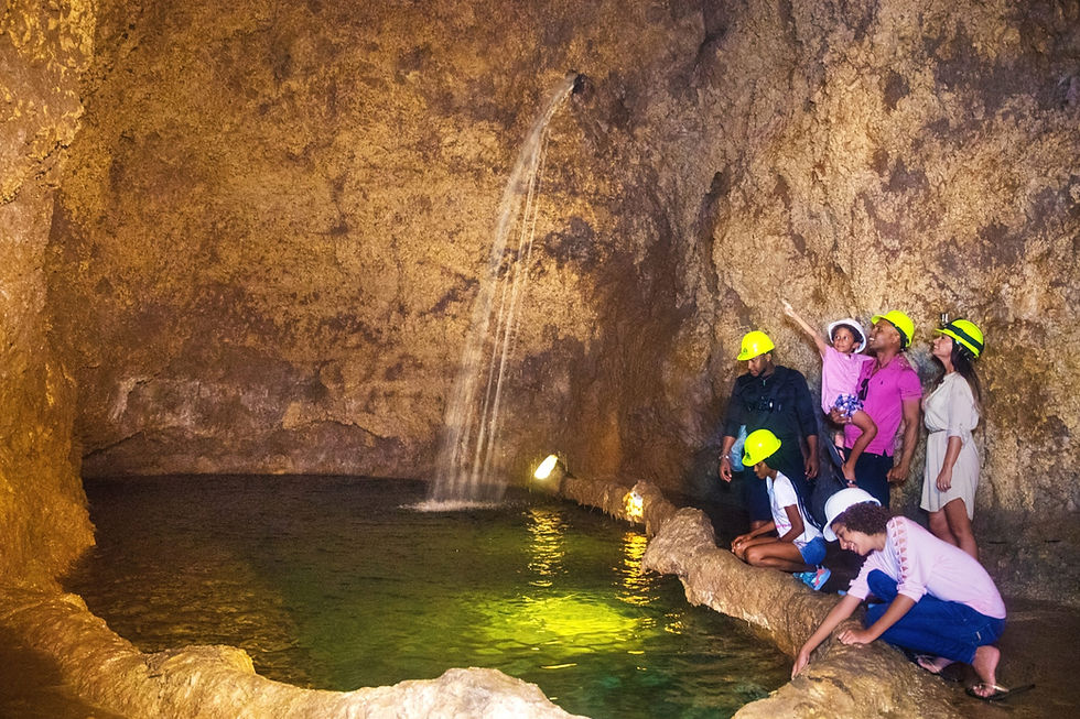 HarrisonsCave