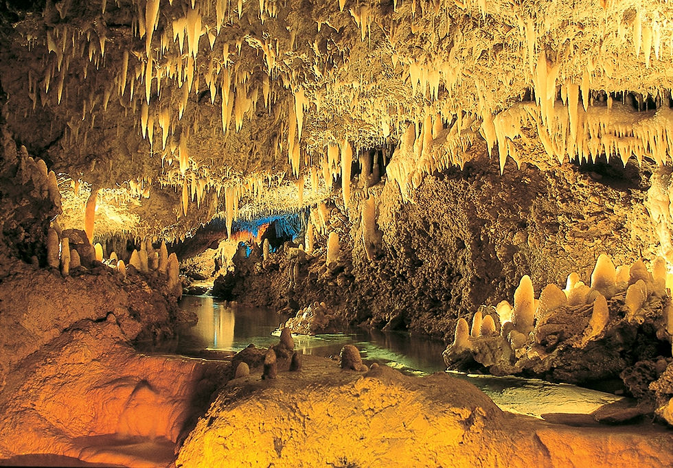 harrisons-cave3