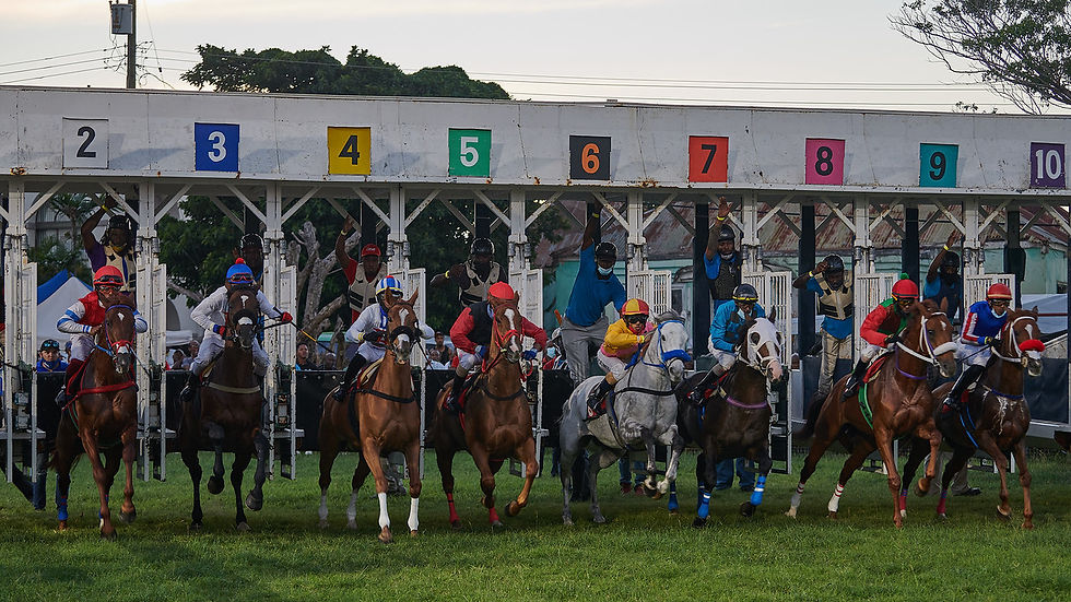 Horse Racing Barbados