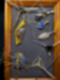 20220807_114648.heic
