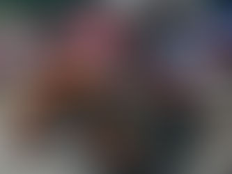 La ruralité en fête à Laroque-Timbaut