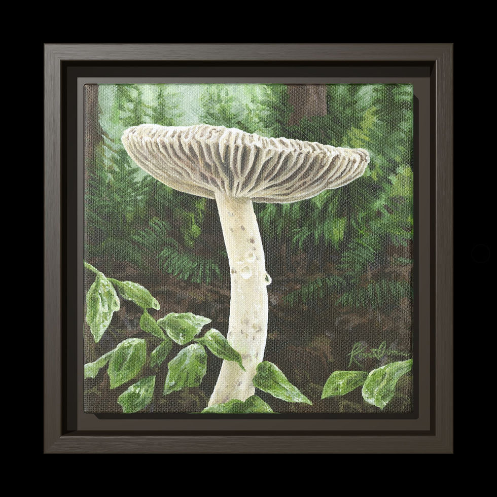 Thumbnail: Amanita constricta