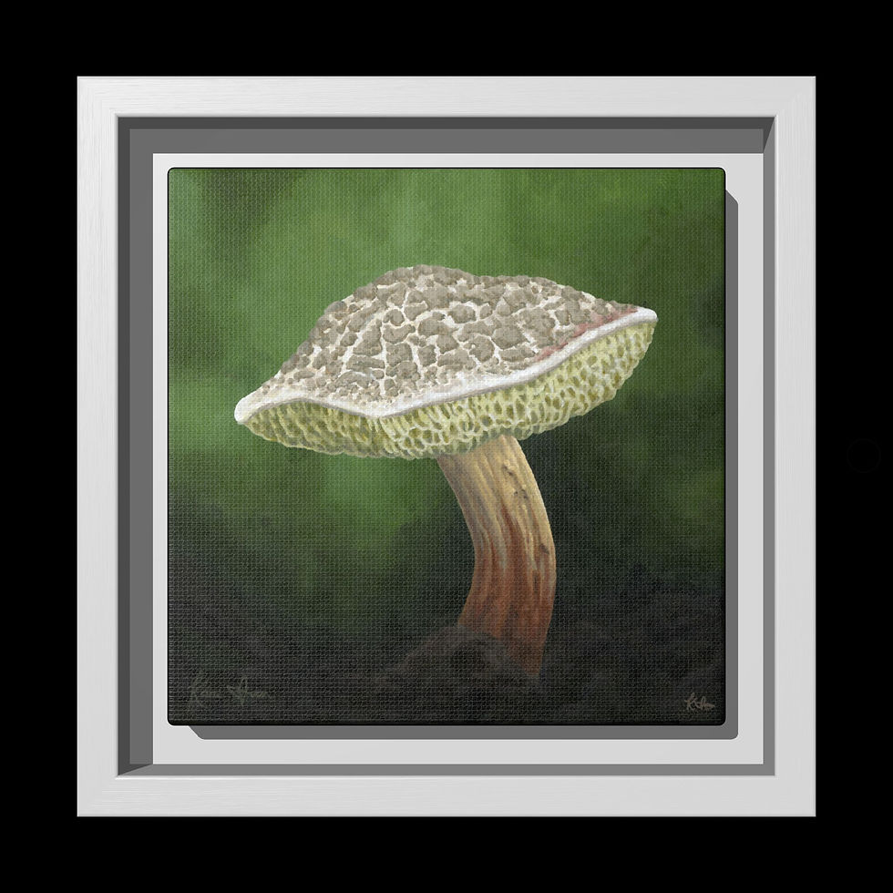 Thumbnail: Xerocomellus chrysenteron