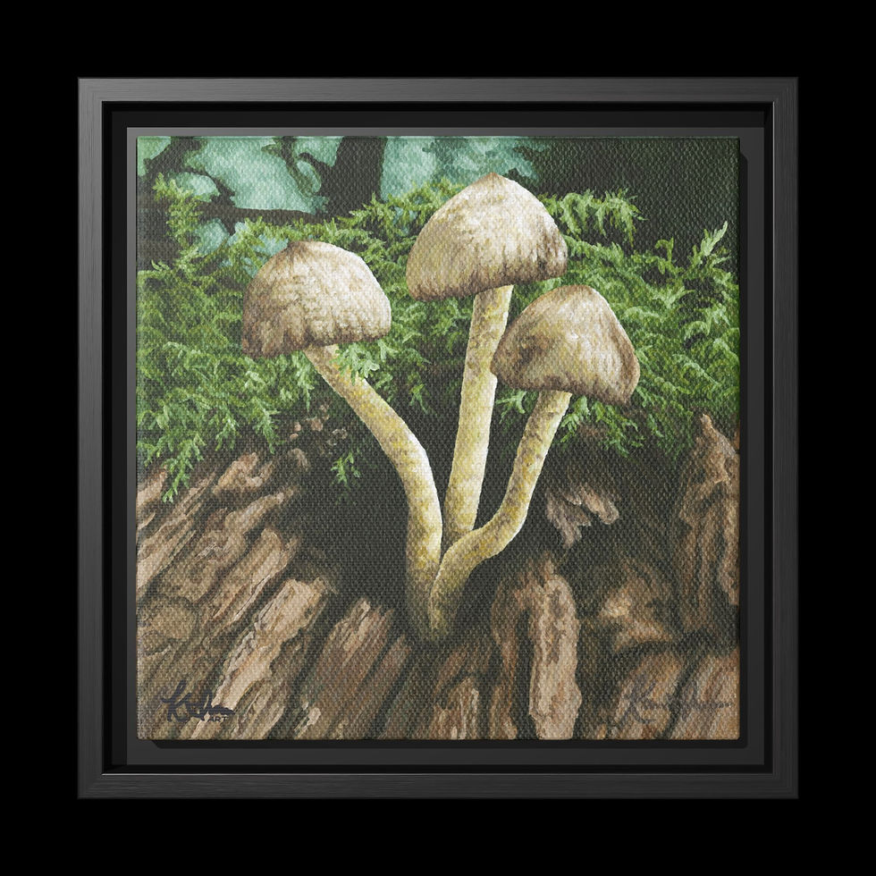 Thumbnail: Coprinellus micaceus