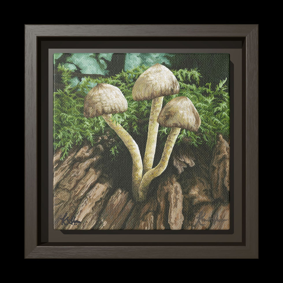 Thumbnail: Coprinellus micaceus