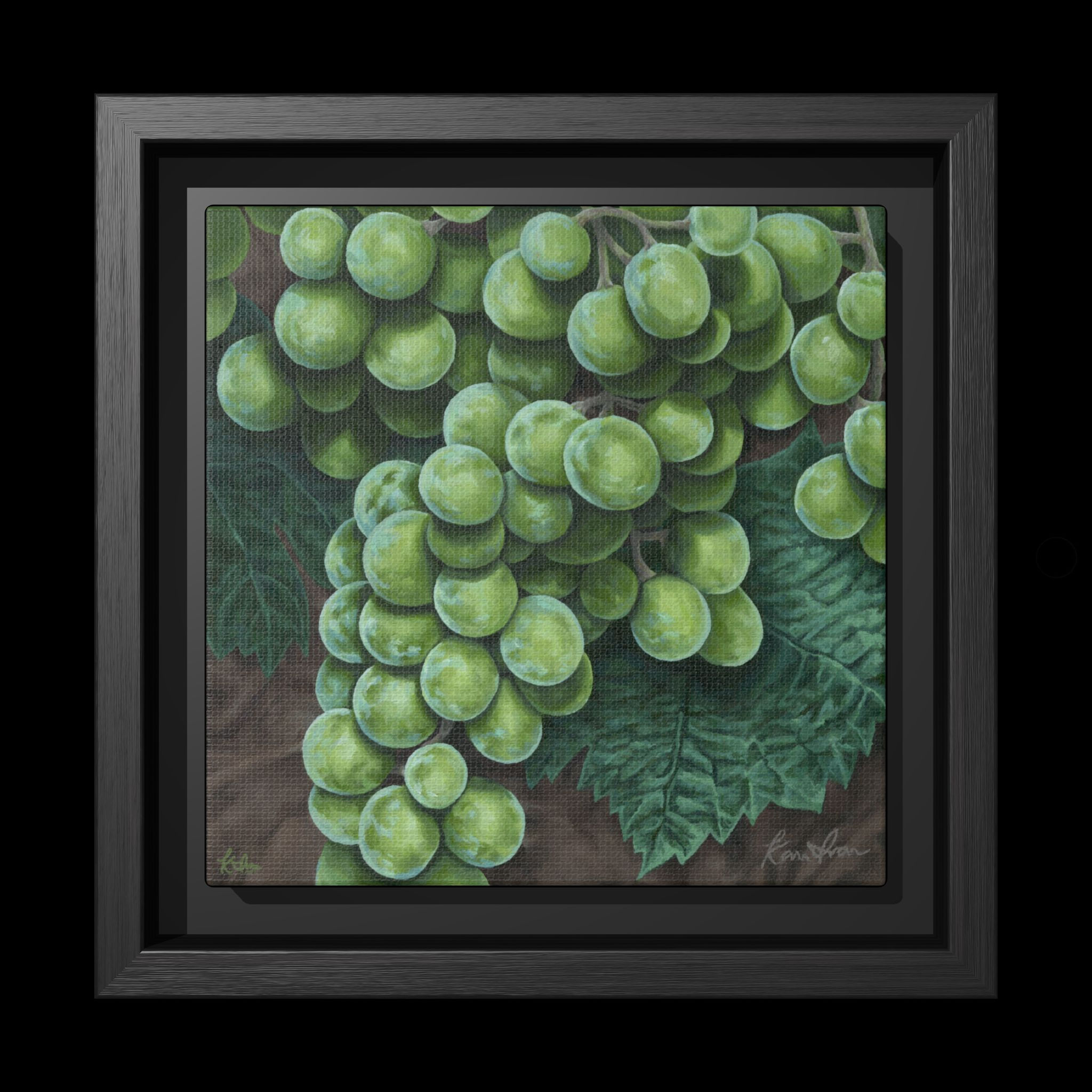 Chardonnay Grapes