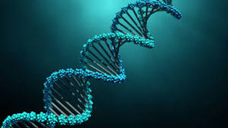 dna.jpeg
