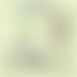 Why do we celebrate Teachers’ Day?