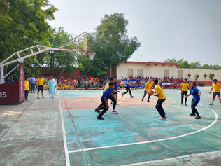 House Pride: Exploring the Magic and Passion Behind Inter-House Competitions