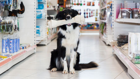What If Cats and Dogs Went on a Spending Spree?