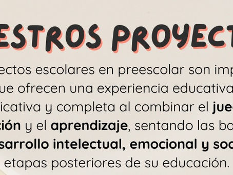 Conoce nuestros proyectos