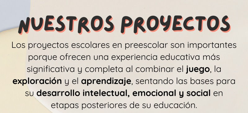 Conoce nuestros proyectos