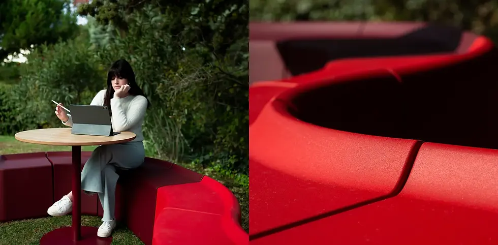 Miniatura: SAREK / BOLN