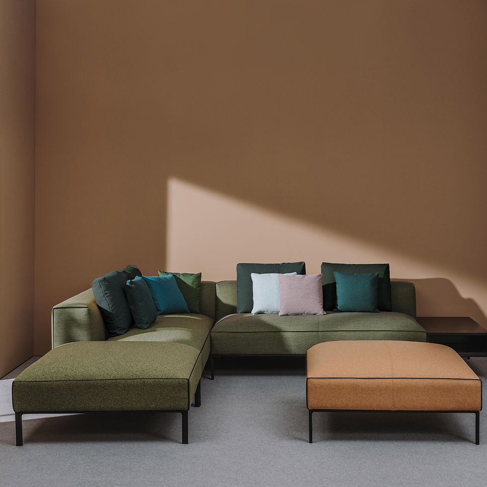 Miniatura: Raglan Home / Andreu World