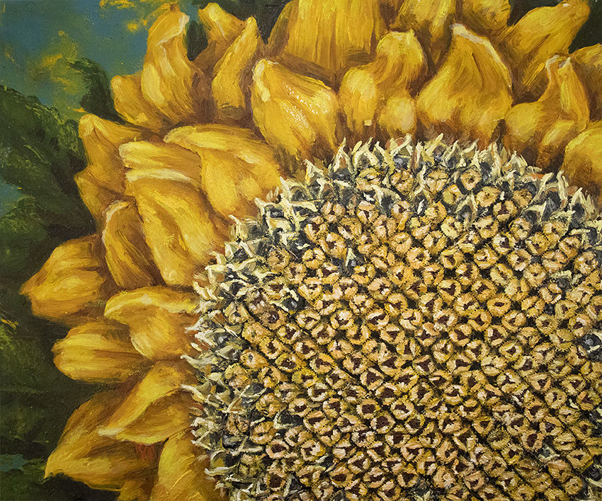 Kelly Maines - Sunflower