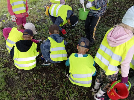 Maailmakoristuspäev