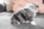 5DB18442-5B51-46CF-8A1D-D40F275E742C_1_105_c