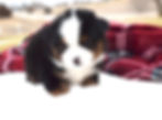 0A19474E-E87D-4B4F-97F2-E6525DF5966A_1_105_c