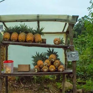 An unattended roadside stall in Mizoram displays fresh produce with handwritten prices and a payment box, illustrating how Nghah Loh Dawr reflects the values of honesty, mutual trust, and shared responsibility within a community.