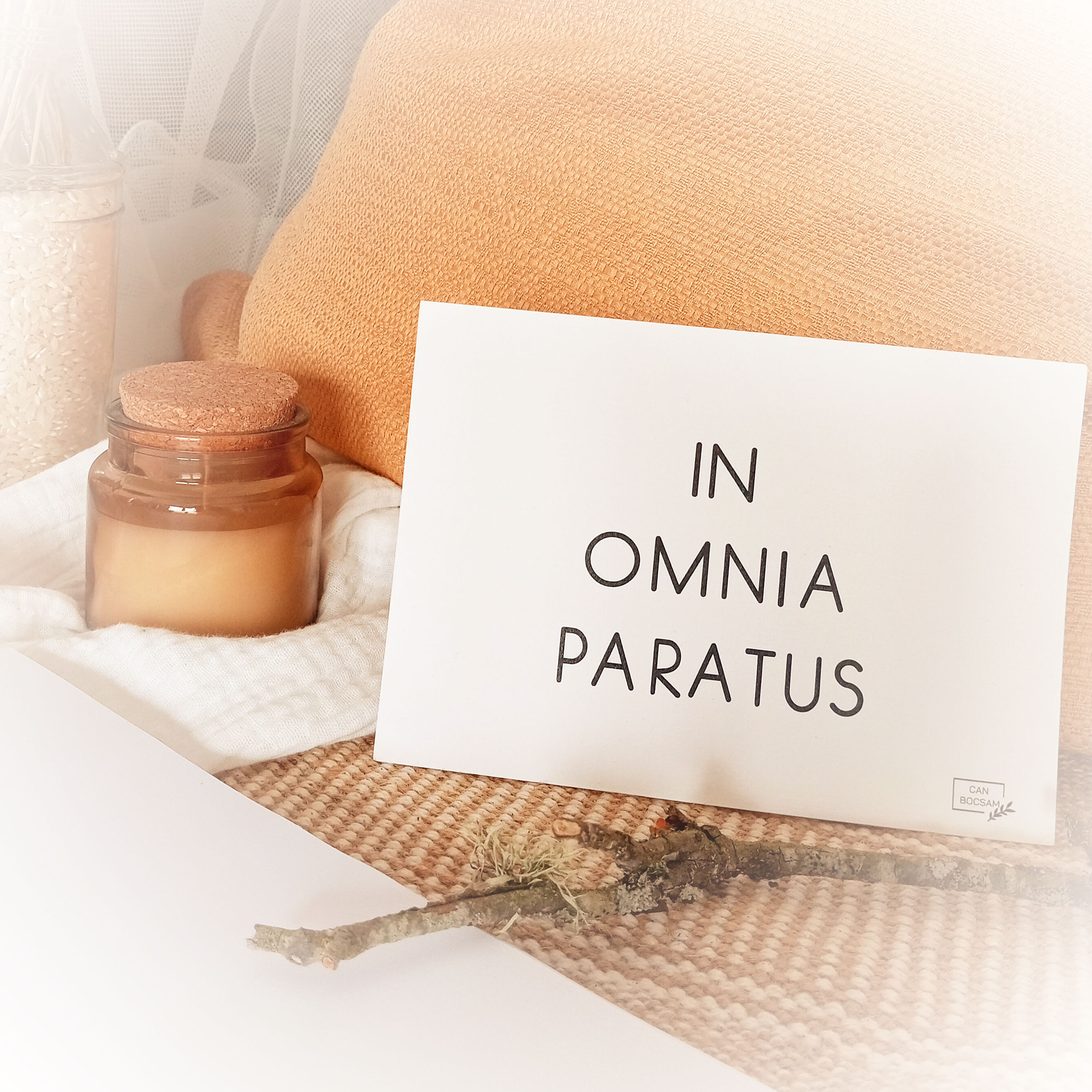 IN OMNIA PARATUS