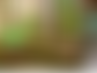 Nas ruínas de Velho Airão, memórias do Amazonas