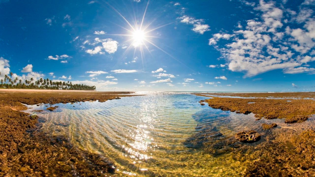City tour Personalizado na Praia do Forte